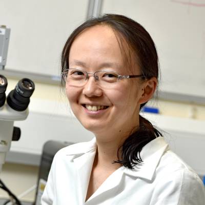 Dr Yukie Tanino